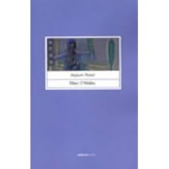 Asylum Road (Salmon Poetry) (Salmon Poetry)