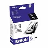 Epson T048120 Black Ink Cartridge (Stylus Photo R300, R300M, and RX500 Printers)