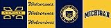 Michigan Wolverines NCAA Licensed 6 H X 15' L Border