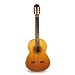 Paax Muul Barrios Mangore Concert Guitar