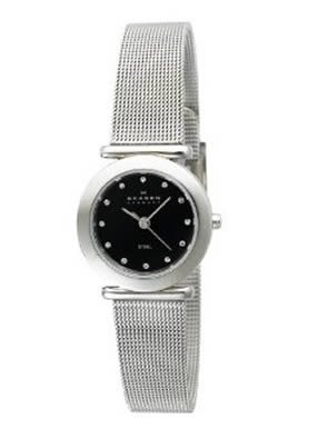 Skagen Women's 107SSSBD Stainless Steel Mesh Watch