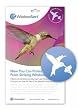 Hummingbird Decal (4 Per Package)