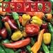 Peppers 2009 Wall Calendar