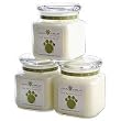 Cain & Able Lavender Blend Aromatherapy Candle, 2 Ounces