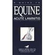 A Guide to Equine Acute Laminitis by  James N. Moore, Douglas Allen, and David L. Baker