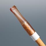TarGard Disposable Cigarette Filters (10 Per Package)