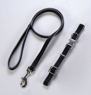 Set Hundeleine und Halsband reflektierend schwarz, 19mm