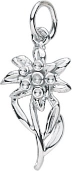 Childrens Toyshop  Jewelry : Edelweiss Charm by Rembrandt Charms