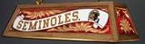 Florida State Wood Frame Billiards Pool Table Light