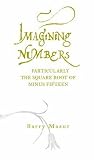 Imagining numbers (particularly the square root of minus fifteen)