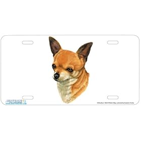 - Chihuahua - Art Print - License Plate Decorative Tag By Robert J. May From Airstrike