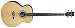 Musical Instruments : Dean Acoustic-Electric Bass Satin Finish