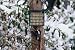 Droll Yankees Suet Feeder with Pole Clamp
