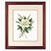 Magnolia's Pair 8x10 Pre-Printed Crewel Embroidery Kit