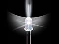 10mm LED Bulb- White (50 Pack)