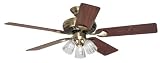 Hunter 20540 Summer Breeze Plus Three-Light 52-Inch Five-Blade Ceiling Fan, Antique Brass with Clear Globes