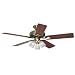 Hunter 20540 Summer Breeze Plus 3-Light 52-Inch 5-Blade Ceiling Fan, Antique Brass with Clear Globes
