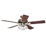 Hunter 20540 Summer Breeze Plus 3-Light 52-Inch 5-Blade Ceiling Fan, Antique Brass with Clear Globes