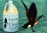 Tools & Hardware : Goose Chase Liquid Bird Repeller, Gallon