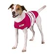 Thundershirt Dog Shirt, Small, Pink Rugby