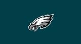 Philadelphia Eagles Pool Felt Billiard Cloth