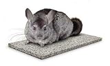 Chinchilla Chin Chiller