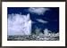Prince of Wales Feather Geyser at Whakarewarewa Thermal Reserve, Rotorua, New Zealand Scenic Framed Art Poster Print by Dennis Johnson, 29x21