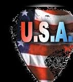 USA Rocks Guitar Picks (4 Picks)