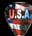 USA Rocks Guitar Picks (4 Picks)
