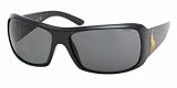 Polo PH 4039 500187 Sunglasses