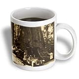 Wawaon Tree at Maraposa Grove Yosemite National Park Sepia - 15oz Mug