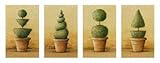 4 Topiaires HIGH QUALITY MUSEUM WRAP CANVAS Print Laurence David 28x12 4 Topiaires HIGH QUALITY MUSEUM WRAP CANVAS Print Laurence David 28x12
