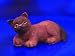 Dollhouse Miniature British Shorthair