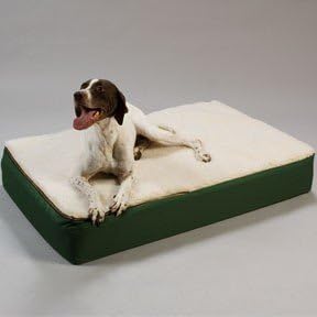 Odonnell Industries 95000 Medium Super Orthopedic Lounge Pet Bed with Sherpa Cream Top - Green