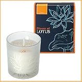 Bloom of LOTUS �t���O�����X�L�����h���@�V�g���� 150g