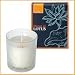 Bloom of LOTUS �t���O�����X�L�����h���@�V�g���� 150g