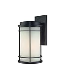 IMAGE OF 9102-68 - Dolan Designs La Mirage 1 Light Exterior Wall In Winchester 9102-68