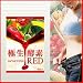 極生-酵素 エンザイムシステムRED