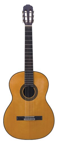 Childrens Toyshop  Musical Instruments : Takamine G128S Classical Acoustic Guitar