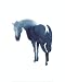 Chinese Horse - Aurore De la Morinerie Art Print Poster 16 x 20