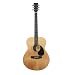 Martin Smith W-100 Acoustic Guitar Kit - Natural