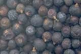 Juniper Berries Whole 2oz (HJUNW)