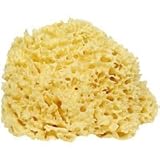 DHC天然海綿（かいめん）ボディスポンジ [ヘルスケア&ケア用品]