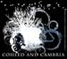 COHEED AND CAMBRIA - Gas Cloud - Sticker