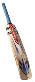 Nitro Le Cricket Bat Men LB