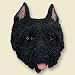 Bouvier Des Flandres Dog Magnet - Cropped Ears