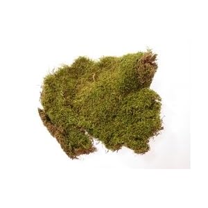 SHEET MOSS - BULK by 