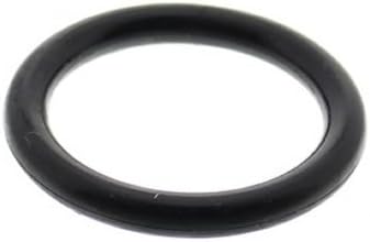 Pentair Pool Light Bulb O-Ring Assembly - 79116900