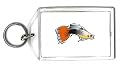 Keychain with water, guppy, fish