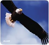 Allsop Bald Eagle Mouse Pad - Mouse pad
